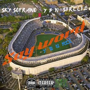 SAY WORD Y.B.N. mix (feat. STREETZ)