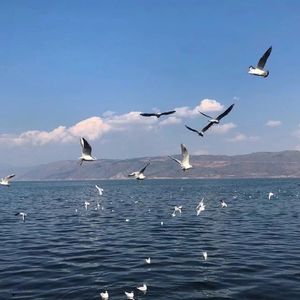 你（我的心空荡荡）