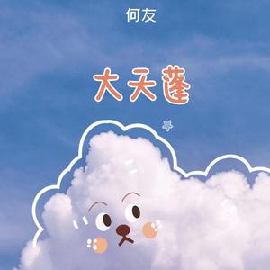 清水er - 大天蓬 (DJ何友版)