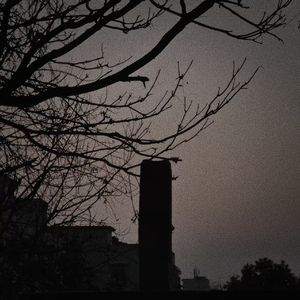 我所不可触及之物