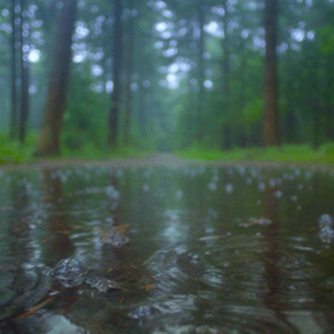 Aleluya Praying Classic Guitar