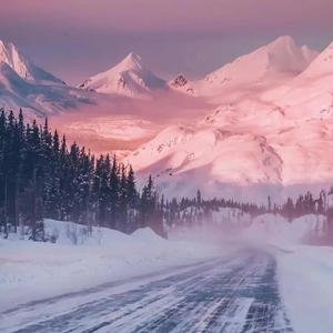 后来的你在哪儿啊