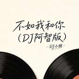 不如我和你(DJ阿智版)