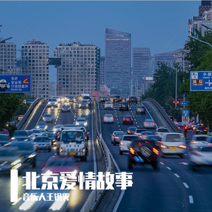 北京爱情故事