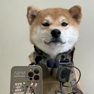 Алиса Мон-我爱了自己得不到人（Mr_Amazing remix）