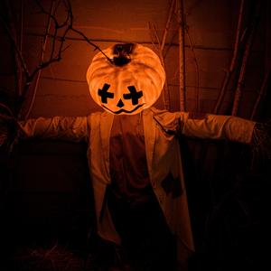 惊悚颤栗预告片配乐