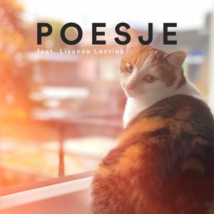 Poesje