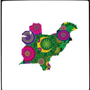 Да это Пакистан by @gospozhahina