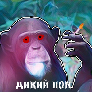 дикий пон
