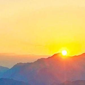 爱的只是你自己