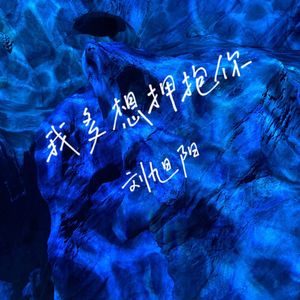 我多想拥抱你 (DJ版)