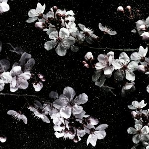 很想蓝莓-亲爱的下雨了（YING.HUA(DJ ARS) remix）