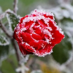 ＂腐烂＂钢琴/Diss/Trap Type Beat