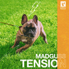 MadGuss - Tension - Radio Edit