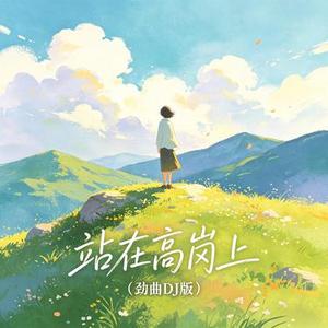 站在高岗上 (劲曲DJ版)