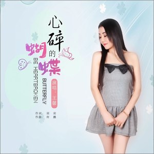 心碎的蝴蝶(DJ版)