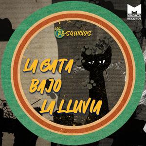 La gata bajo la lluvia