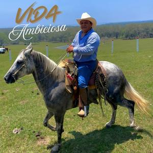 Vida Ambiciosa