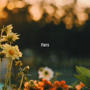 Flwrs