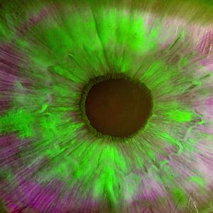 Eyes