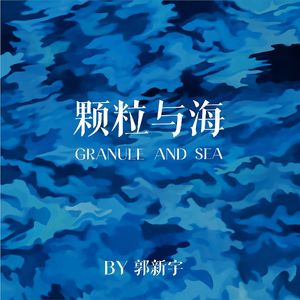 颗粒与海