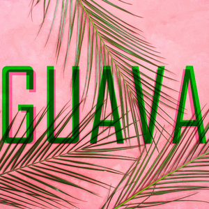 Guava