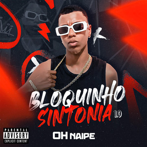 Bloquinho Sintonia 1.0: Ela para Destrava / Sarrar no Parafal / Piranha Ladrona / Roça / Encosta / Maloqueiro Paga Pau