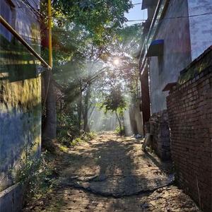 小美满（热辣滚烫插曲）Piano version