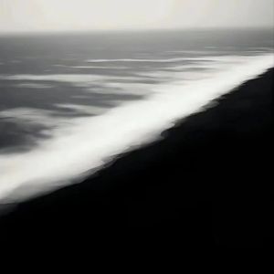 我拥抱了风但不说再见