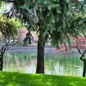 《大提琴长音引您入梦》