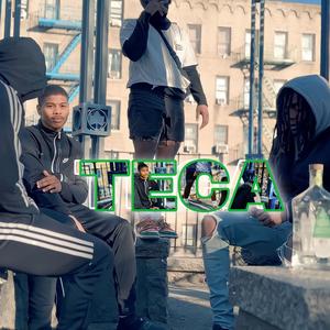 TECA