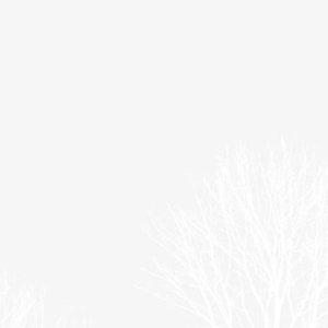 ⸝⸝⸝ ╸▵╺⸝⸝⸝