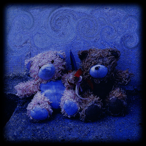 I Didn't Want to Do It