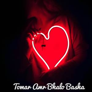 Tomar Amr Bhalo Basha 2