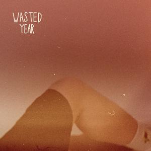 Wasted Year