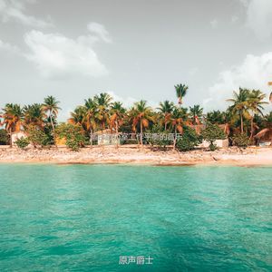 适合办公事务浪漫的音乐