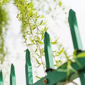 天涯浪迹渡远方