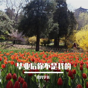 毕业后你不是我的