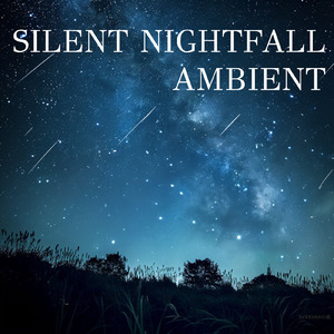 ベルベットの夜のアンビエント