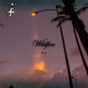 野火 (Wildfire)