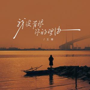 我没有恨你的理由