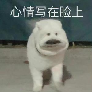 好好生活就是美好生活