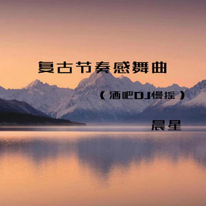 复古节奏感舞曲4 (酒吧dj慢摇)