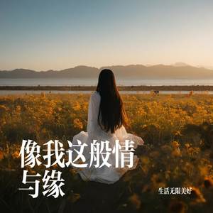 像我这般情与缘