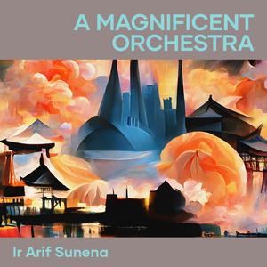 A Magnificent Orchestra