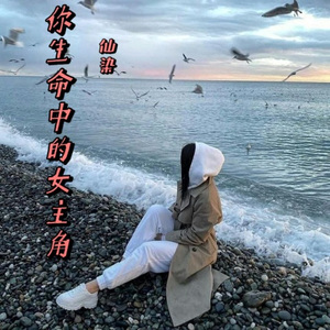我为爱情掉过几滴泪 (DJ版)