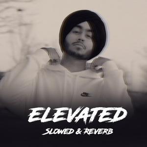Elevated (Slowed and Reverb)