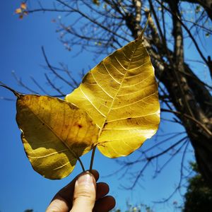 心头的绿_96khz_24bit 伴奏