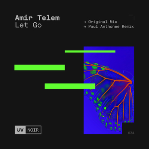 Let Go (Paul Anthonee Remix)