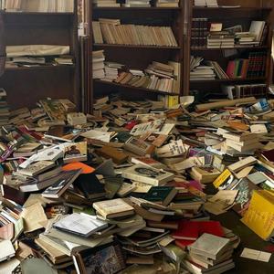 ruin the book fair